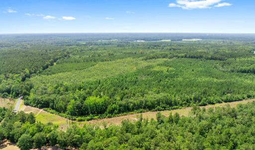 Photo #4 of Na Burney, White Oak, NC 66.3 acres