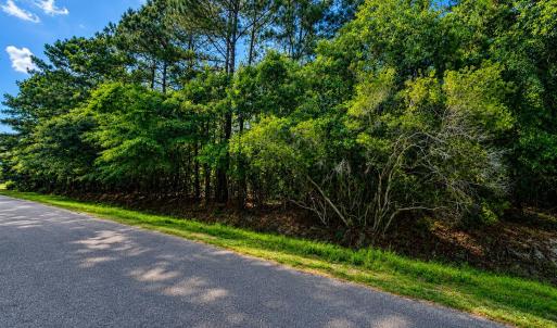 Photo #1 of 225 Pages Creek, Wilmington, NC 0.5 acres