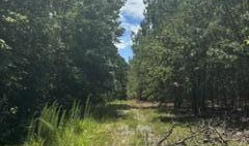 Photo #1 of Tbd Boling, Southern Pines, NC 60.0 acres