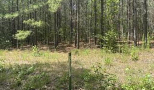 Photo #2 of Tbd Boling, Southern Pines, NC 60.0 acres