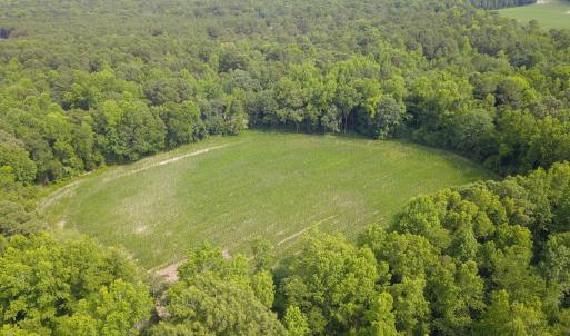 Photo #5 of 1817 Off S/, Chinquapin, NC 52.2 acres