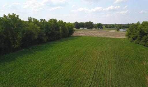 Photo #8 of 1817 Off S/, Chinquapin, NC 52.2 acres