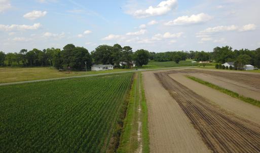 Photo #3 of 1817 Off S/, Chinquapin, NC 52.2 acres