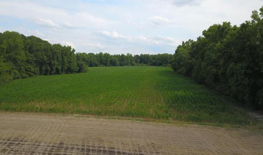 Photo #2 of 1817 Off S/, Chinquapin, NC 52.2 acres