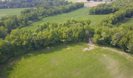 Photo #1 of 1817 Off S/, Chinquapin, NC 52.2 acres