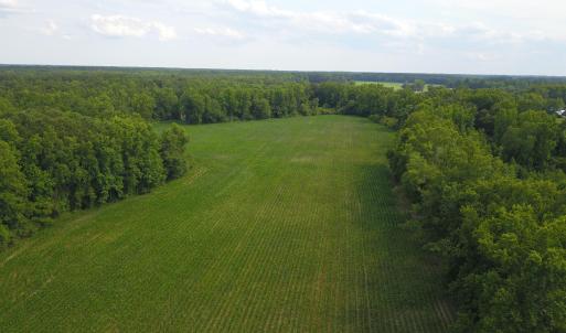 Photo #4 of 1817 Off S/, Chinquapin, NC 52.2 acres