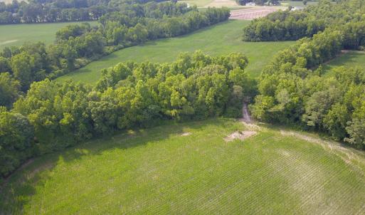 Photo #6 of 1817 Off S/, Chinquapin, NC 52.2 acres