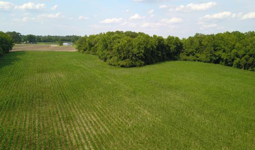 Photo #7 of 1817 Off S/, Chinquapin, NC 52.2 acres