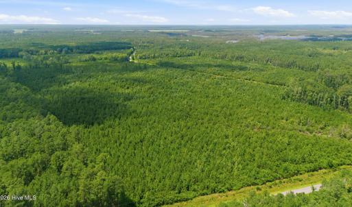 Photo #5 of Upper Neck, Bayboro, NC 100.0 acres