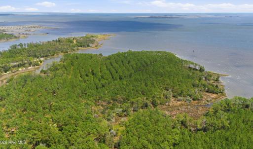 Photo #2 of Upper Neck, Bayboro, NC 100.0 acres