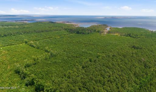 Photo #4 of Upper Neck, Bayboro, NC 100.0 acres