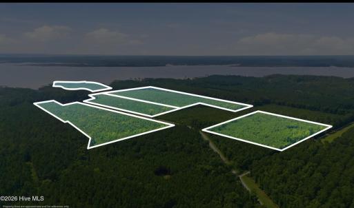 Photo #6 of Upper Neck, Bayboro, NC 100.0 acres