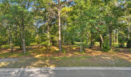 Photo #2 of 348 River Ridge, Wallace, NC 0.7 acres