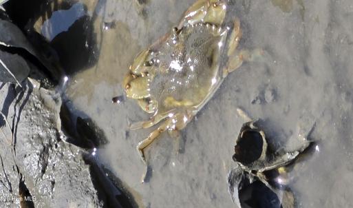 Photo #24 of 213 Hwy 70 Otway, Beaufort, NC 14.6 acres