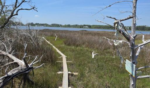 Photo #13 of 213 Hwy 70 Otway, Beaufort, NC 14.6 acres