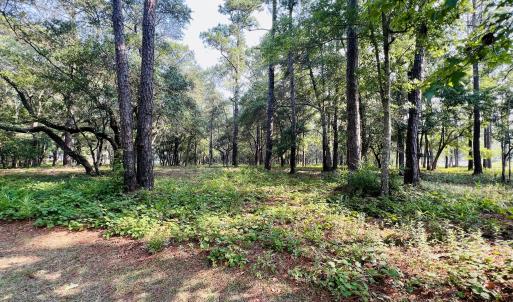 Photo #2 of 834 Blue Gill, Bolivia, NC 0.5 acres