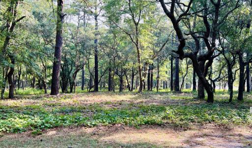 Photo #1 of 834 Blue Gill, Bolivia, NC 0.5 acres