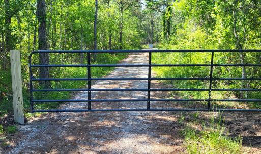 Photo #4 of 1123 Straits, Smyrna, NC 6.1 acres