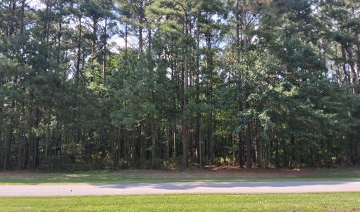 Photo #2 of 137 Indian Town Creek, Hertford, NC 0.6 acres