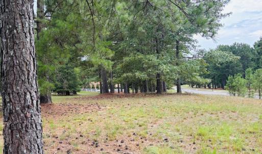 Photo #3 of 740 Broken Ridge, West End, NC 4.0 acres
