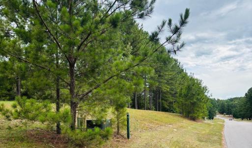 Photo #2 of 740 Broken Ridge, West End, NC 4.0 acres