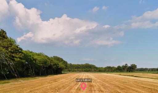 Photo #1 of 204 Whitemon, Edenton, NC 3.9 acres