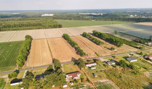 Photo #2 of 204 Whitemon, Edenton, NC 3.2 acres