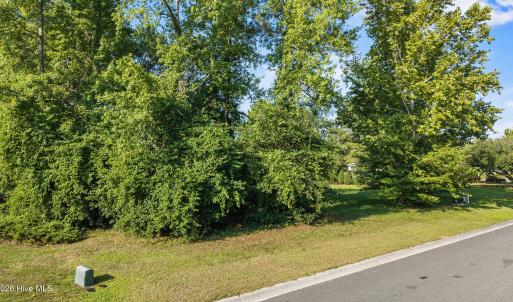 Photo #6 of 160 Firefly, Wallace, NC 0.5 acres