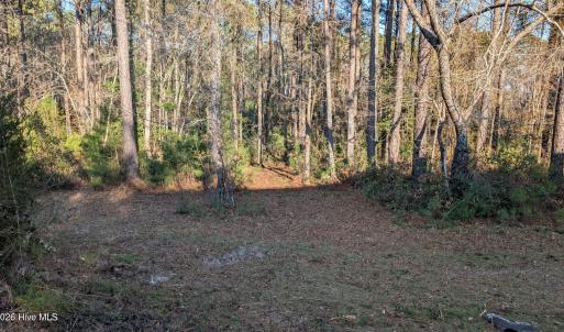 Photo #2 of 314 Livingston, Holly Ridge, NC 4.3 acres