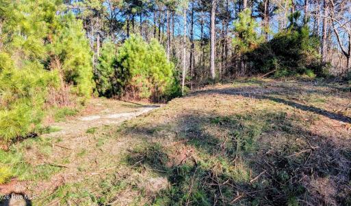 Photo #3 of 314 Livingston, Holly Ridge, NC 4.3 acres