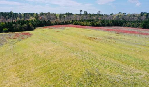 Photo #8 of Fisher Town, Havelock, NC 15.4 acres