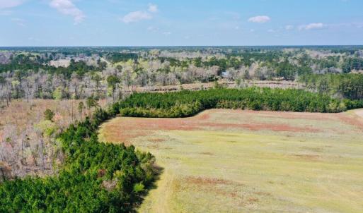 Photo #13 of Fisher Town, Havelock, NC 15.4 acres