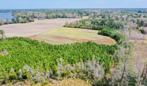 Photo #7 of Fisher Town, Havelock, NC 15.4 acres