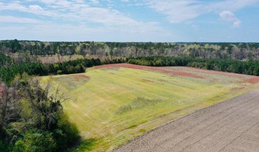 Photo #3 of Fisher Town, Havelock, NC 15.4 acres