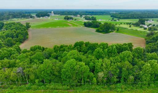 Photo #10 of 478 Davis Mill, Fremont, NC 73.4 acres