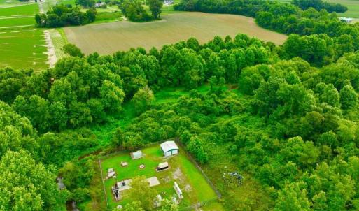 Photo #3 of 478 Davis Mill, Fremont, NC 73.4 acres