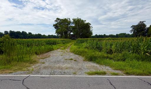 Photo #6 of 478 Davis Mill, Fremont, NC 73.4 acres