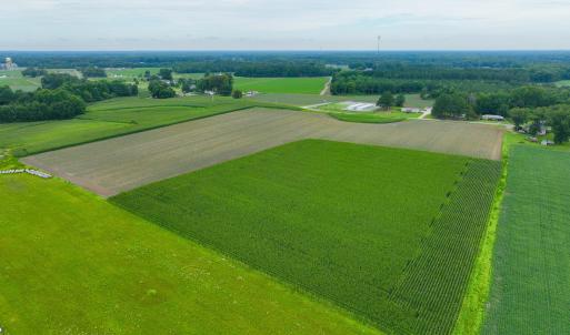 Photo #11 of 478 Davis Mill, Fremont, NC 73.4 acres