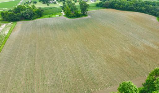 Photo #14 of 478 Davis Mill, Fremont, NC 73.4 acres