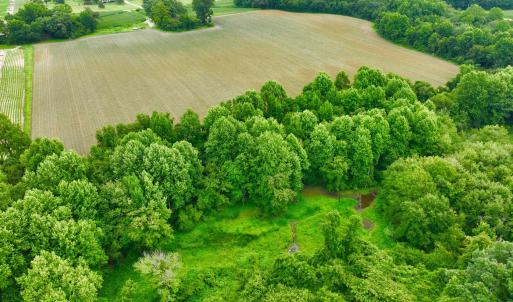 Photo #13 of 478 Davis Mill, Fremont, NC 73.4 acres