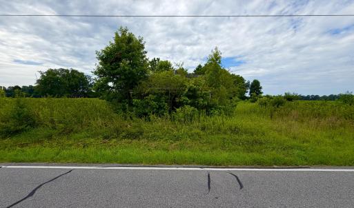 Photo #17 of 478 Davis Mill, Fremont, NC 73.4 acres