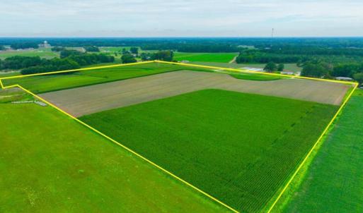 Photo #2 of 478 Davis Mill, Fremont, NC 73.4 acres