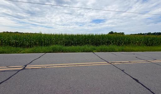Photo #15 of 478 Davis Mill, Fremont, NC 73.4 acres