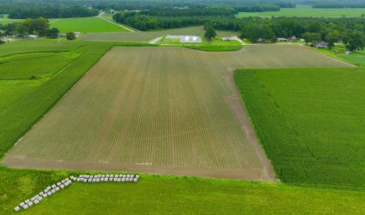 Photo #9 of 478 Davis Mill, Fremont, NC 73.4 acres