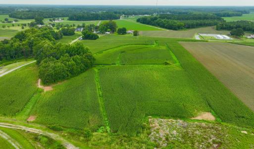 Photo #7 of 478 Davis Mill, Fremont, NC 73.4 acres