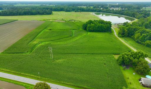 Photo #5 of 478 Davis Mill, Fremont, NC 73.4 acres