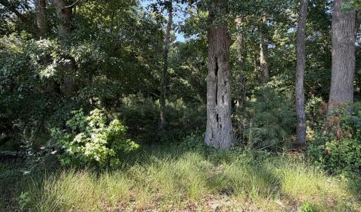 Photo #24 of 165 Ike Frederick, Kenansville, NC 2.0 acres