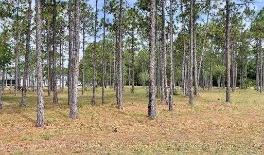 Photo #7 of 6806 Beckman, Ocean Isle Beach, NC 0.3 acres