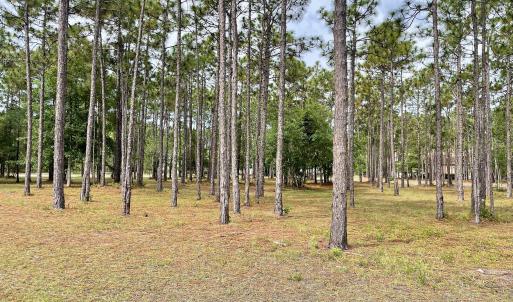 Photo #6 of 6806 Beckman, Ocean Isle Beach, NC 0.3 acres