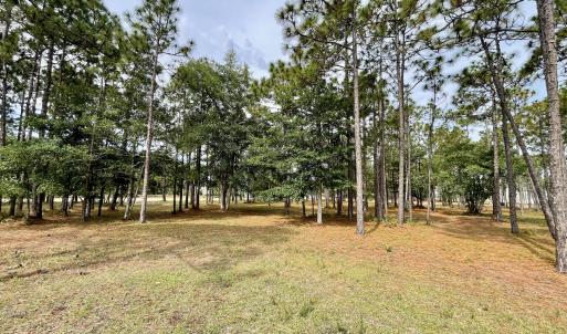 Photo #5 of 6804 Beckman, Ocean Isle Beach, NC 0.3 acres